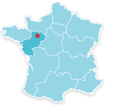72350 SAINT DENIS D'ORQUES